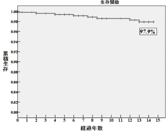 再手術を終点とした人工股関節の生存曲線