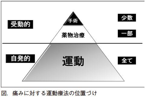 首、腰、関節の痛みに対する運動療法