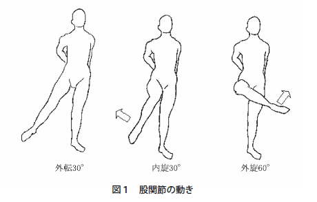 股関節の可動域について 刊行紙のご案内